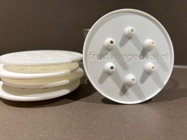 Set van 5 fruitvliegenvallen